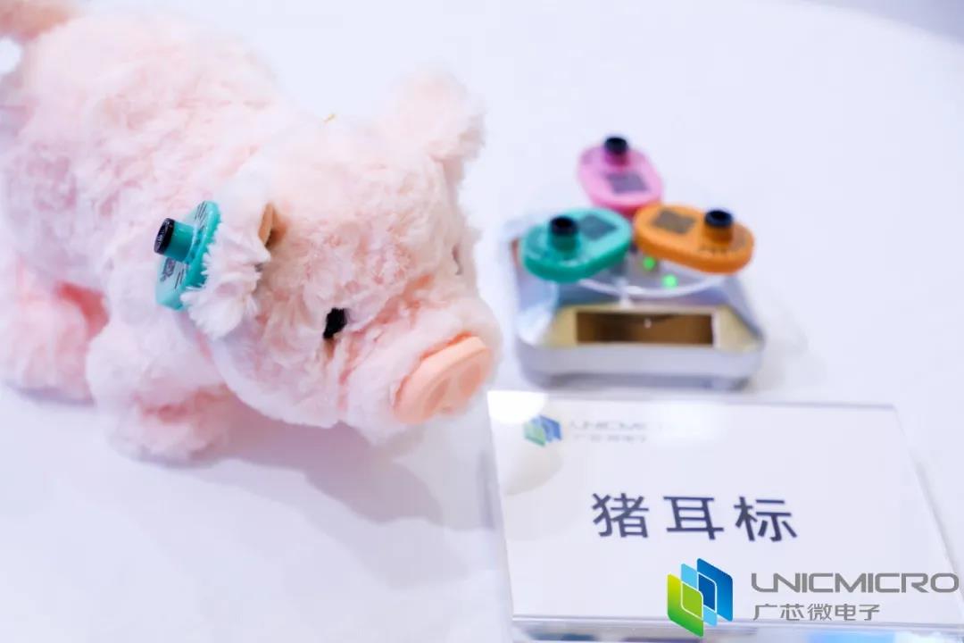 /ueditor_img/1609393755.jpg /ueditor_img/1609393755.jpg